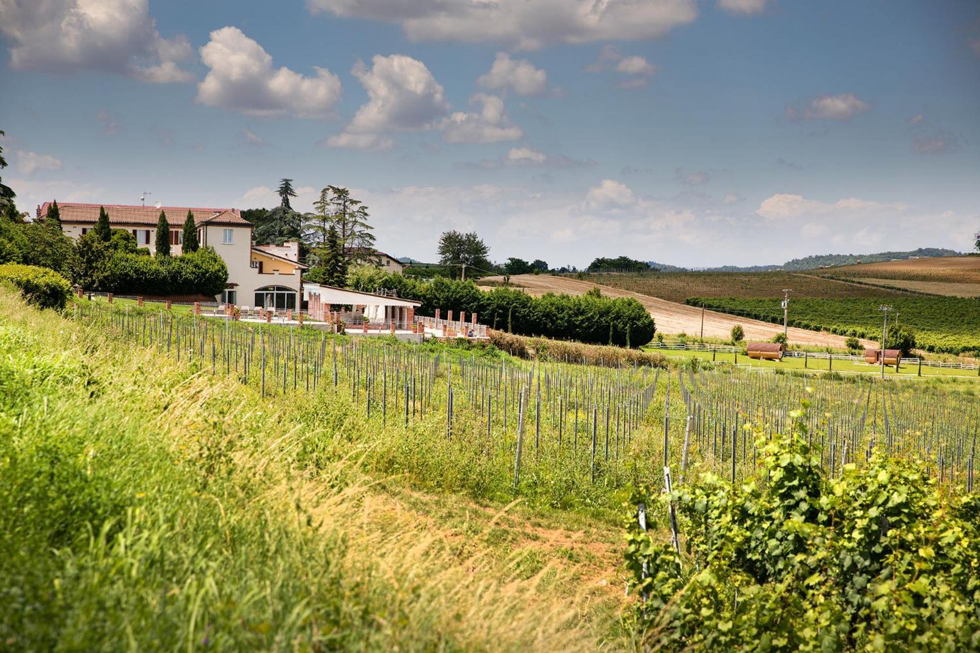 Notte Nella Botte Hotel Vignale Monferrato Exterior photo